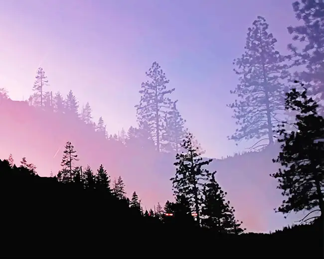 Yosemite valley trees silhouette