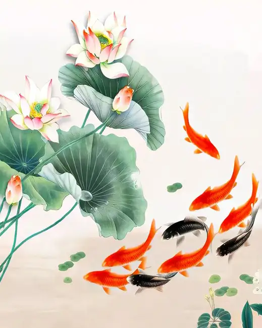 Koi fish and lotus flower
