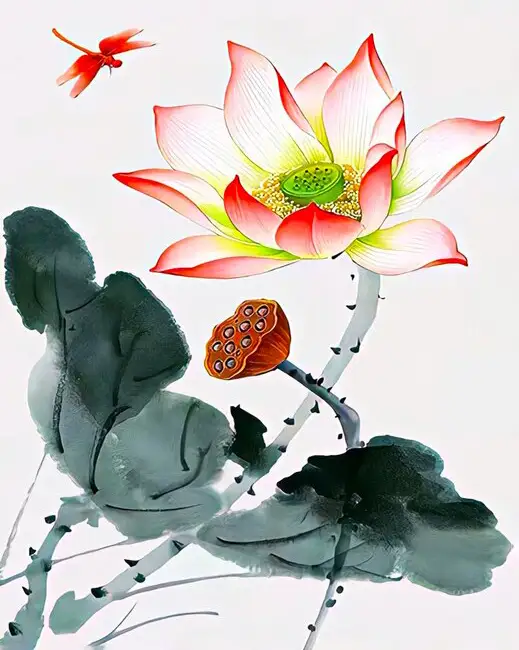 Lotus flowers and leaves