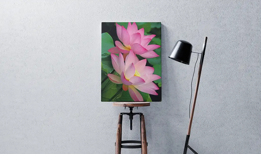 how to paint flowers Pink Lotus