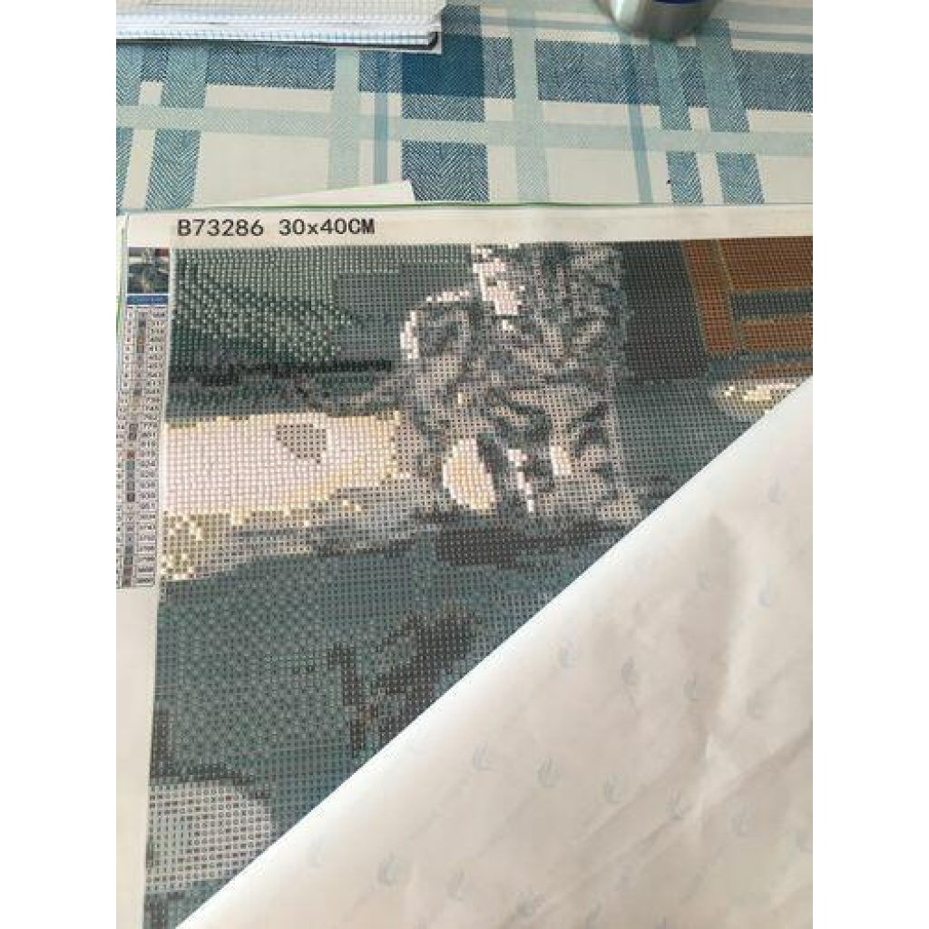 Image #1 from Auribault R.