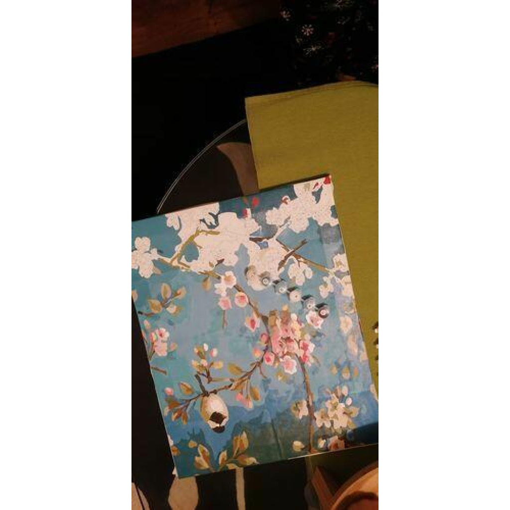 Image #1 from Denise C.