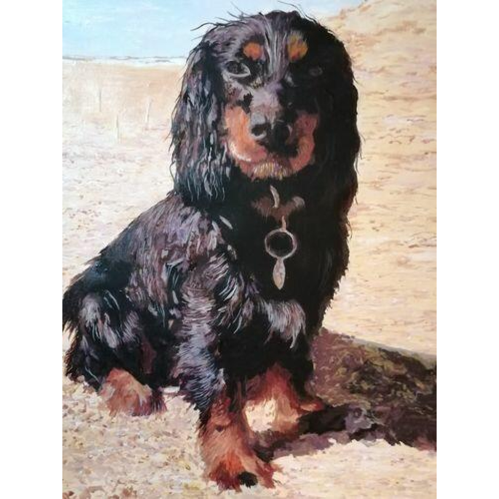 Image #1 from Steve S.