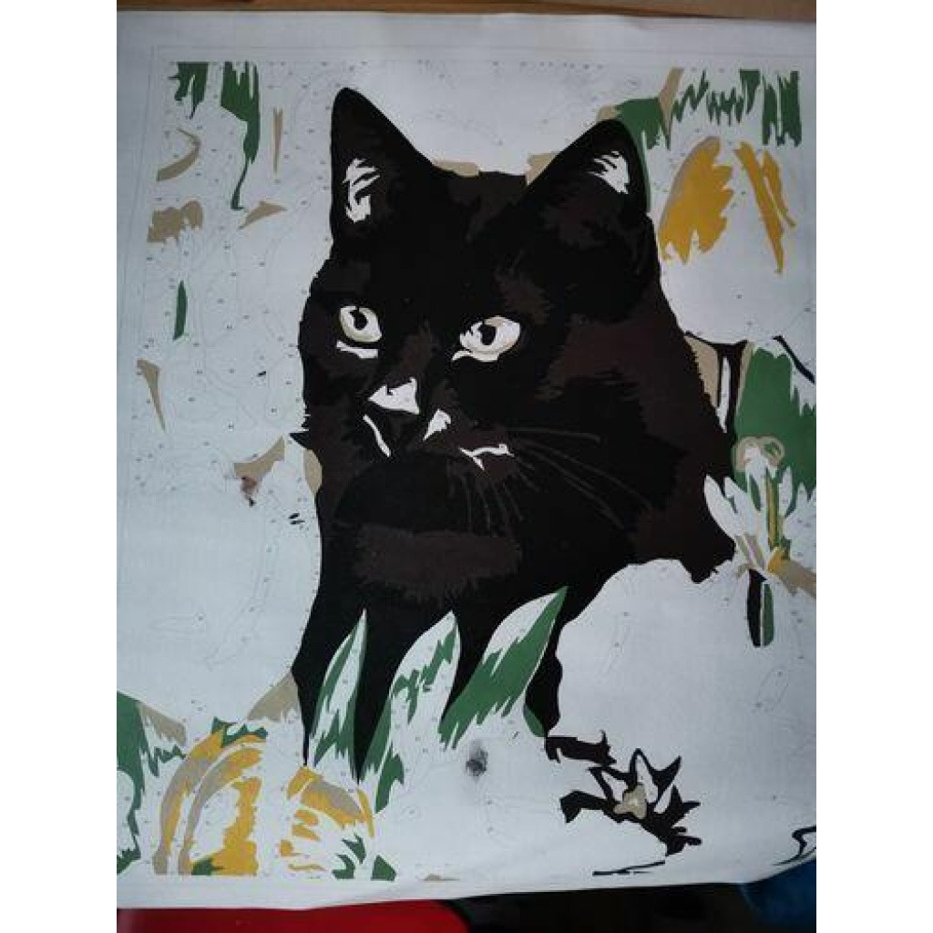 Image #1 from Květa H.