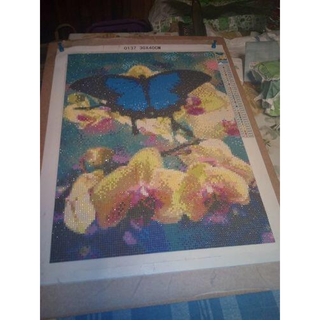 Image #1 from Vania S.