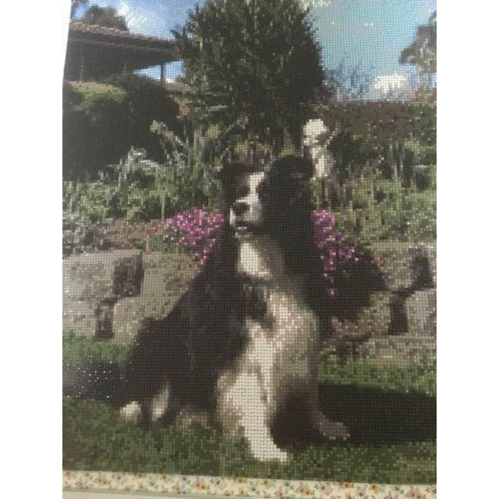 Image #1 from Glennice E.