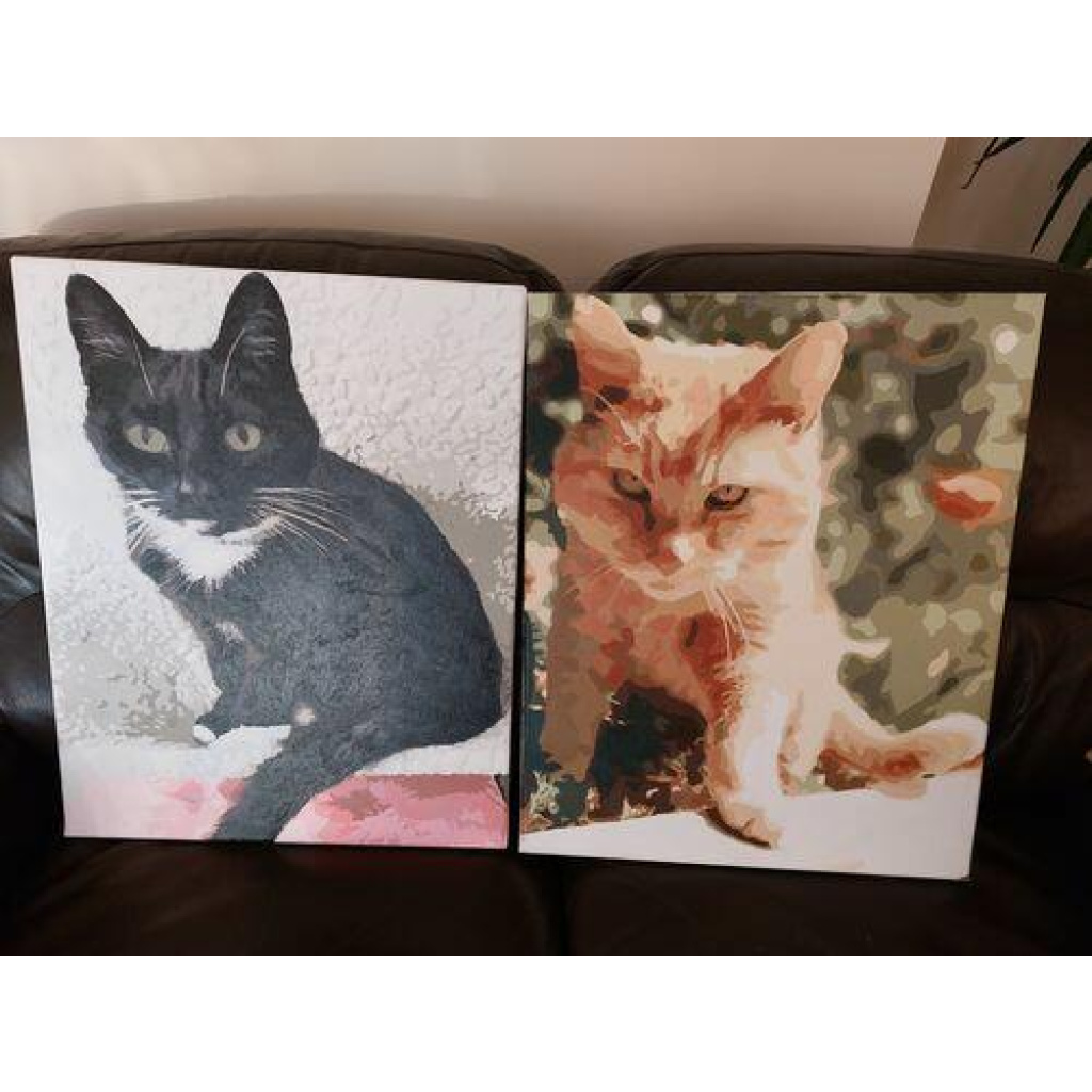 Image #1 from Lesley R.