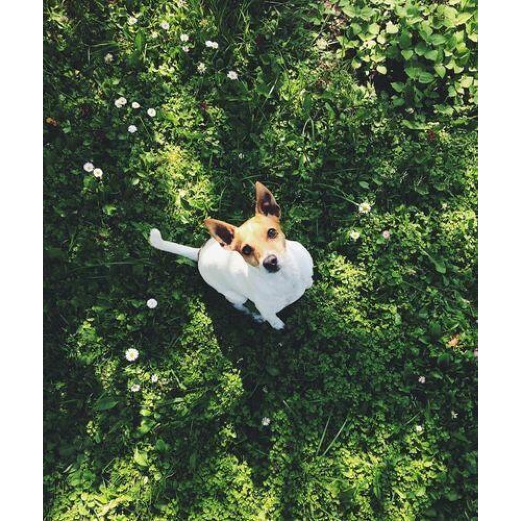 Image #1 from Customer