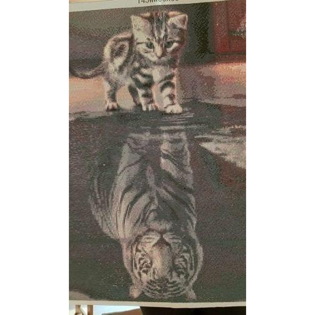 Image #1 from Stephanie B.