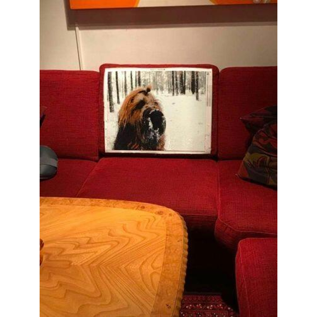 Image #1 from carin b.