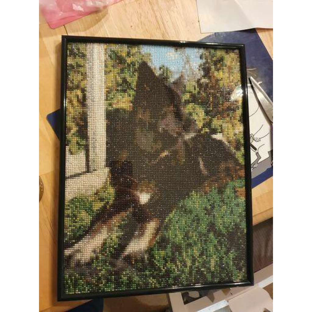 Image #1 from Caroline F.