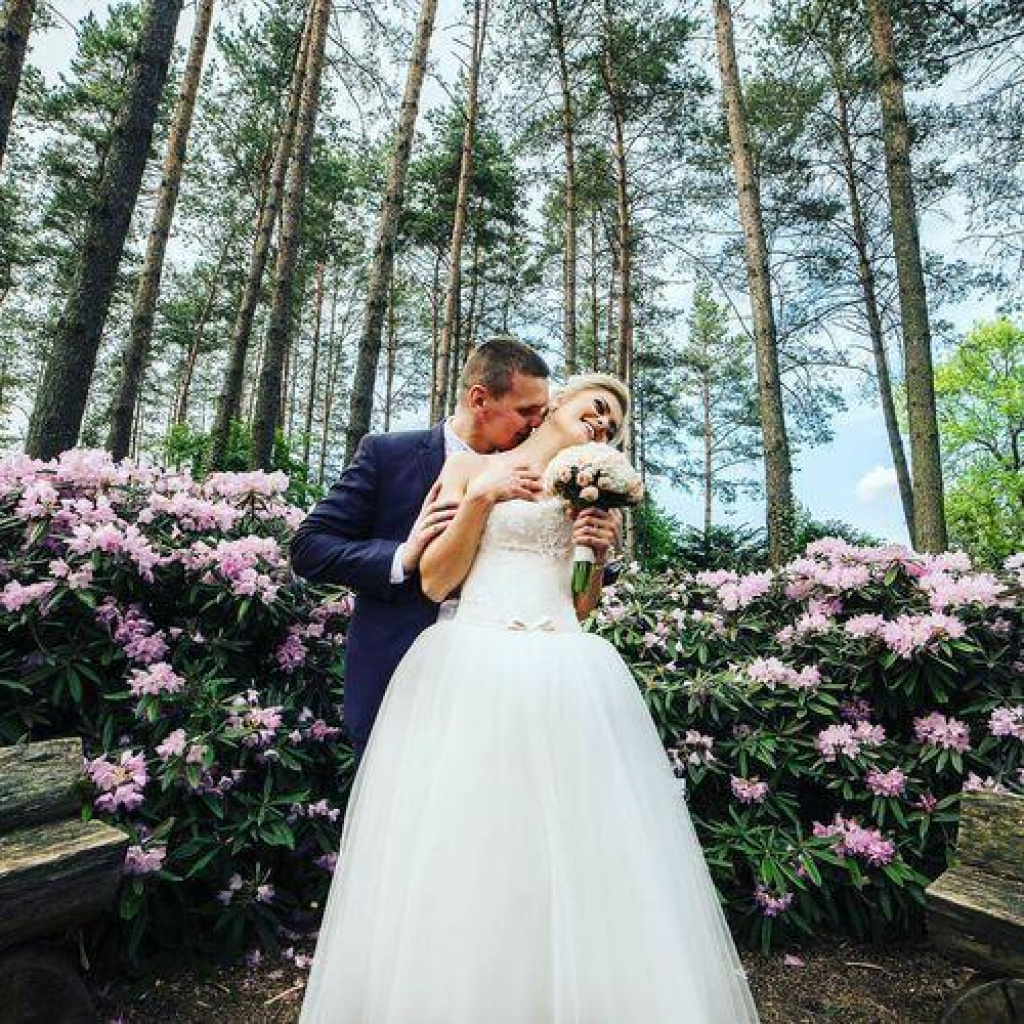 Image #1 from laura m.