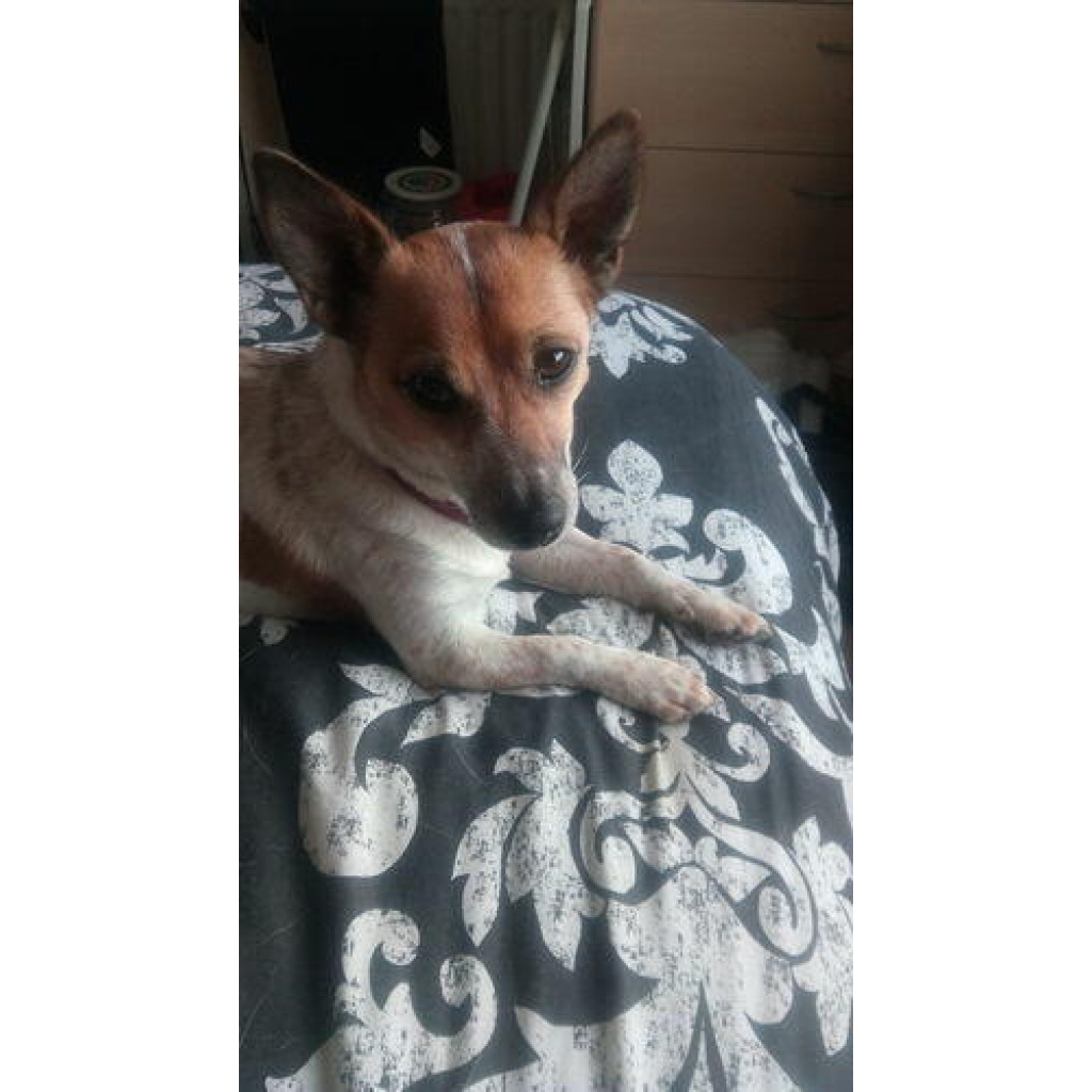 Image #1 from Debra K.