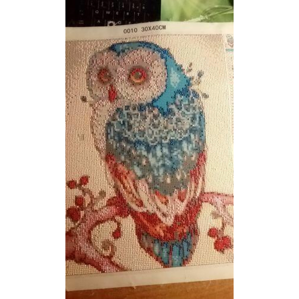 Image #1 from Paweł P.