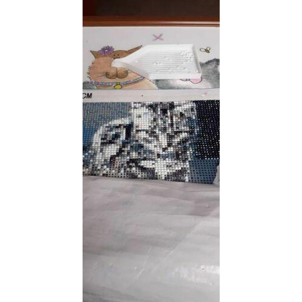 Image #1 from judy p.