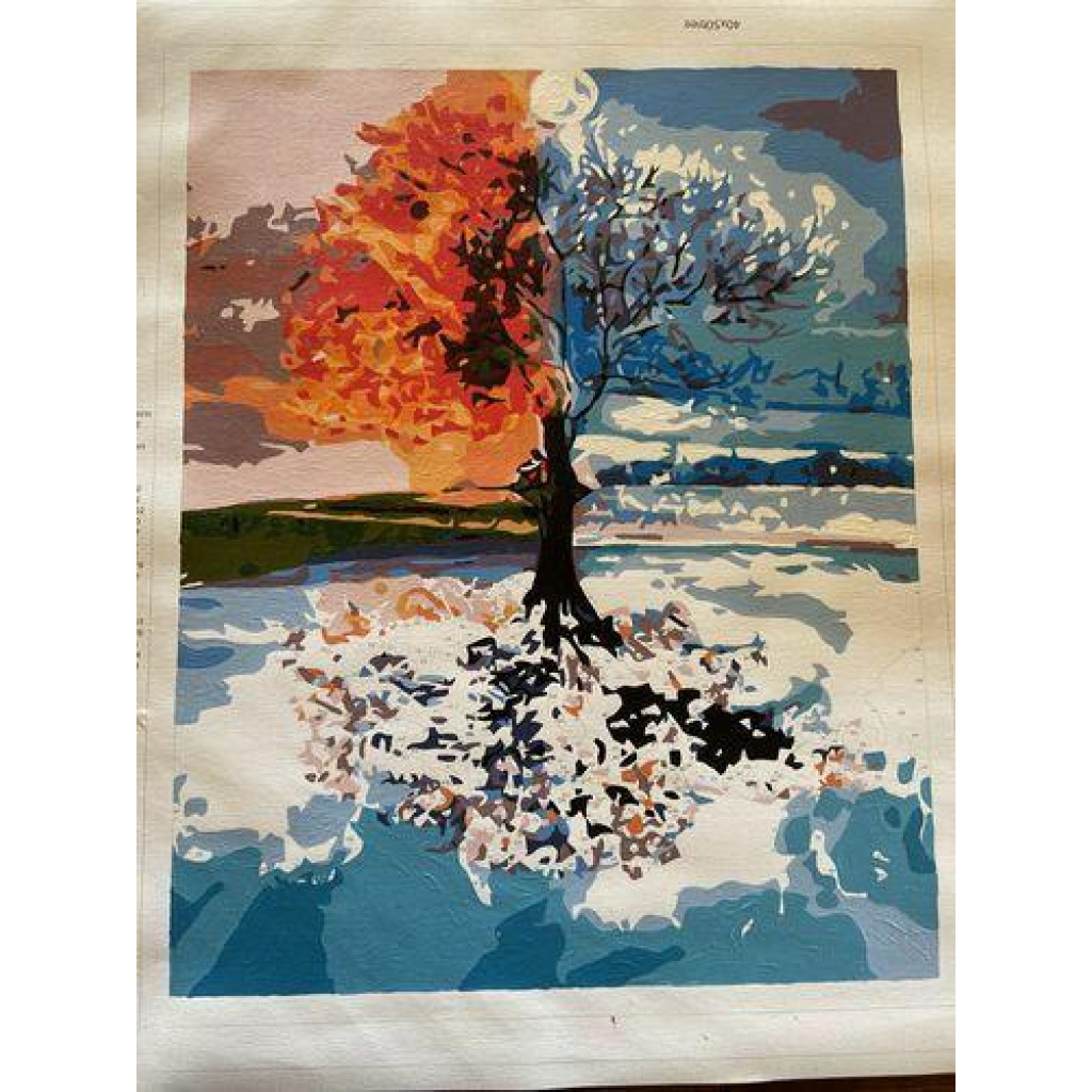 Image #1 from �sa S.