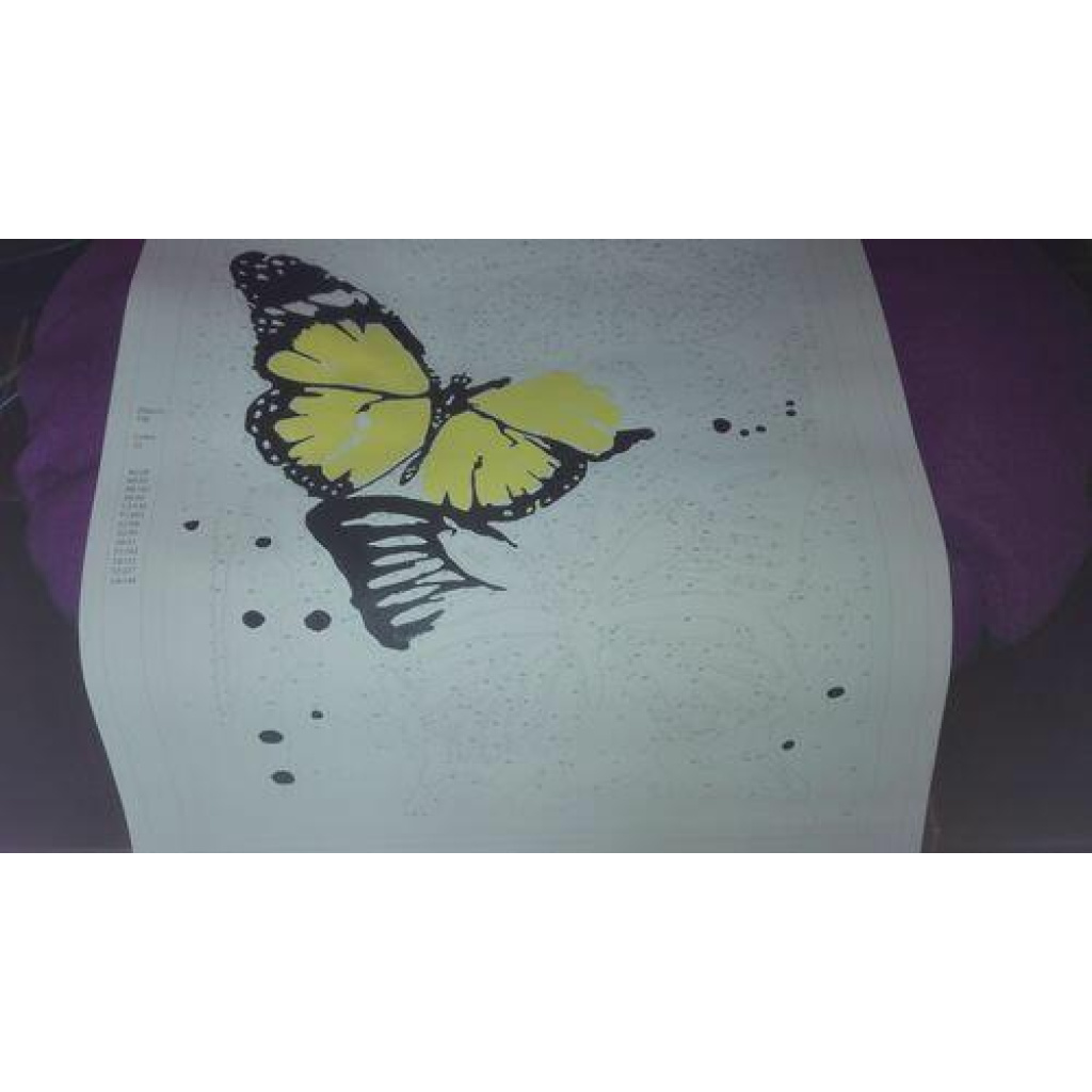 Image #1 from Birgit V.