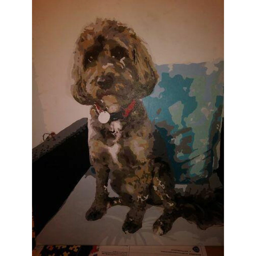 Image #1 from kate b.