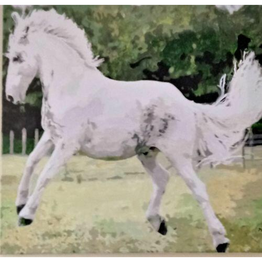 Image #1 from Sheila C.