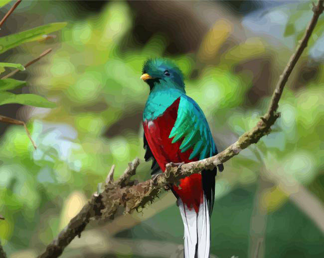 Quetzal bird on a stick