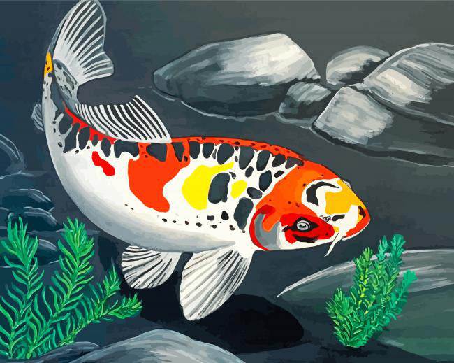 Carp fish