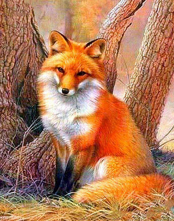Peaceful fox