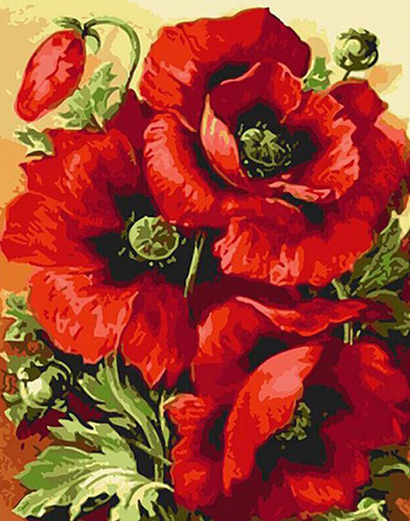 Red poppy flower acrylic diy painting