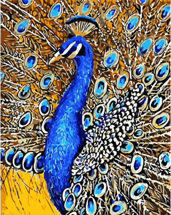  Mrnsiet Peacock Paint by Numbers for Adults，DIY Paint by Number  Kits for Beginners，Colorful Peacock Oil Painting Canvas for Home Wall Decor  16x20Inch : Toys & Games