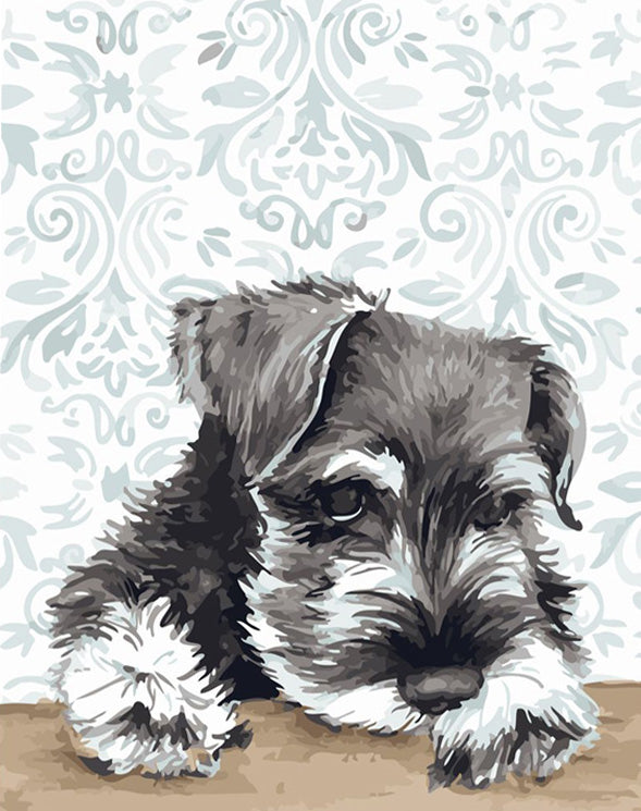 ZMHZMY Paint by Numbers for Kids Ages 8-12 Girls Schnauzer Dog Painting by  Number for Adults DIY Digital Painting for Beginners Wall Decor Drawing