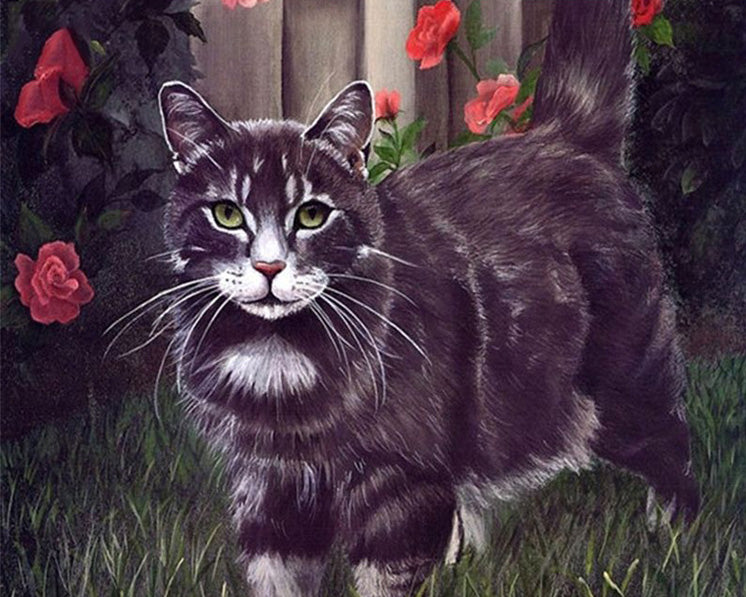 Cat acrylic DIY painting