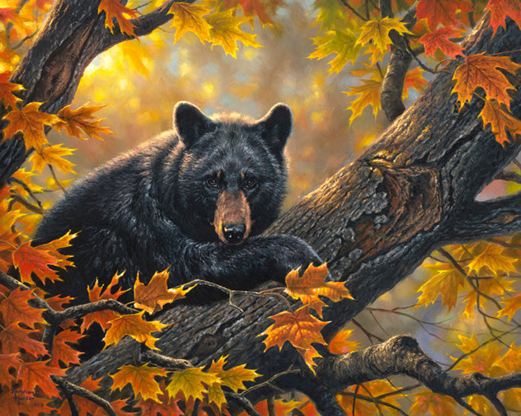 Black Bear Painting  Art Of Paint By Numbers