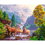 Wild Horses Follow River