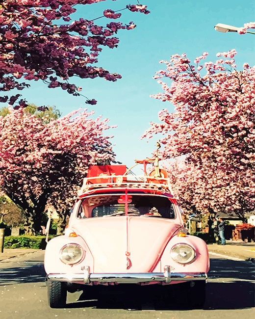 WV beetle and cherry blossom