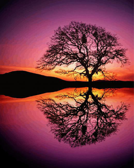 Reflection tree by water at sunset