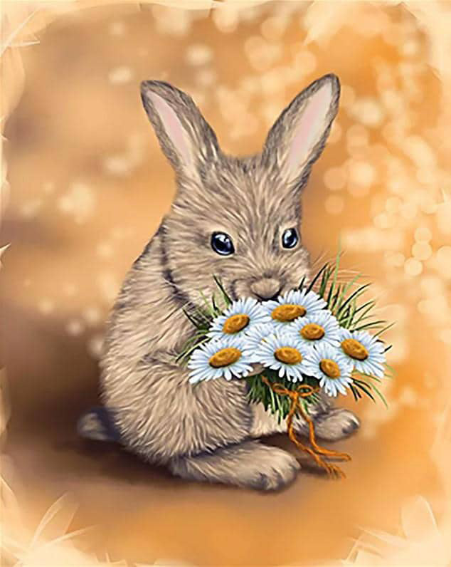 Rabbit and daisies