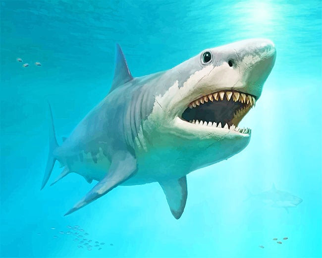 Megalodon shark