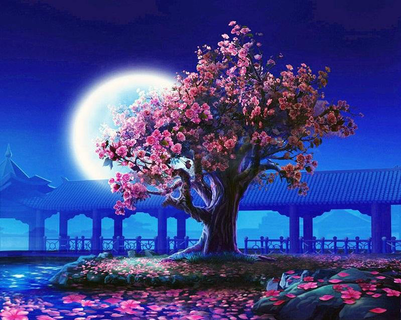 Romantic moon night