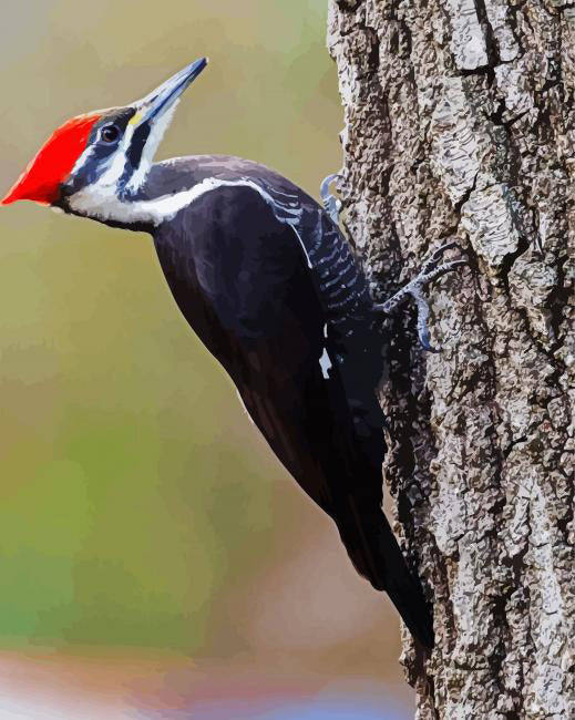 Aesthetic woodpecker