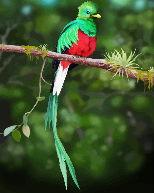 Quetzal bird on a branch