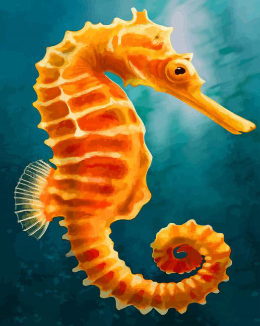 Orange Seahorse Painting | Art Paint Of Numbers By