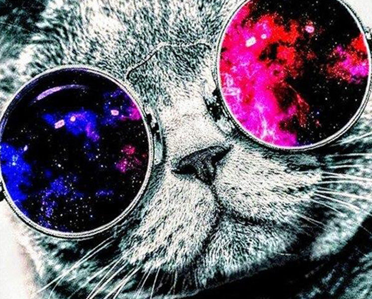 Cat with space sunglasses