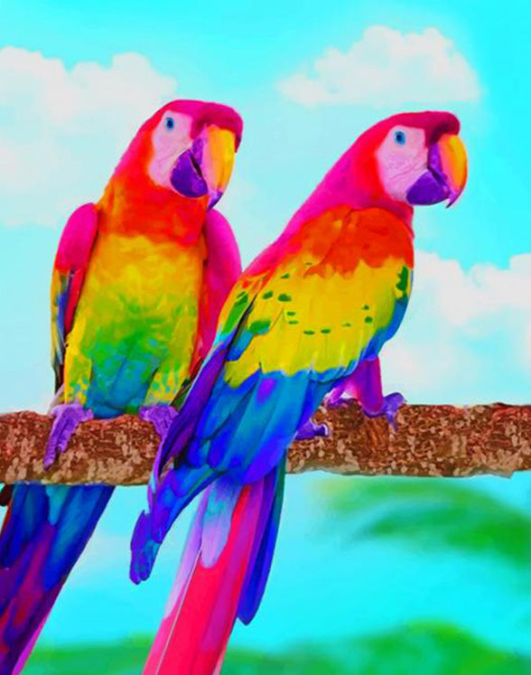 Rainbow color parrots