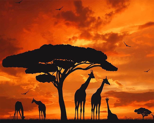 Giraffes silhouette at sunset