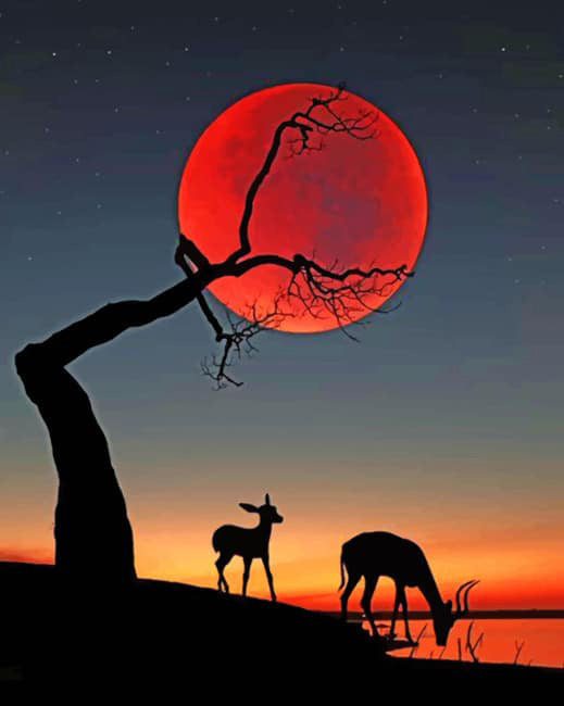 Red moon with deer silhouette