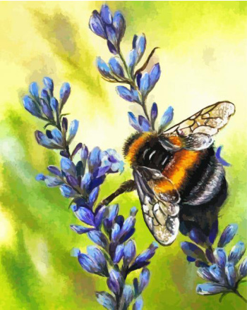 Easy Bee - Paint By Number - Paint by Numbers for Sale