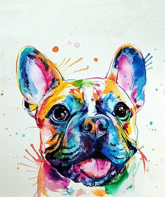 Colorful French Bulldog Easy Paint by Numbers Kit for Adults Free
