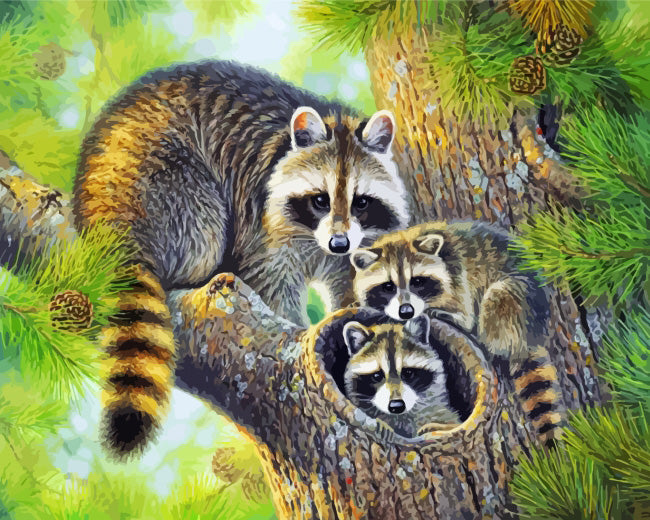 Raccoon family