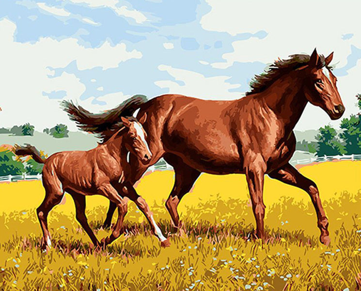 Horse on Grass