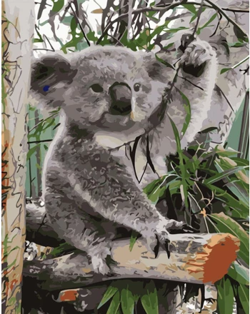 Australian Colorful Koala Paint By Numbers - Numeral Paint Kit