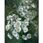 White Daisy